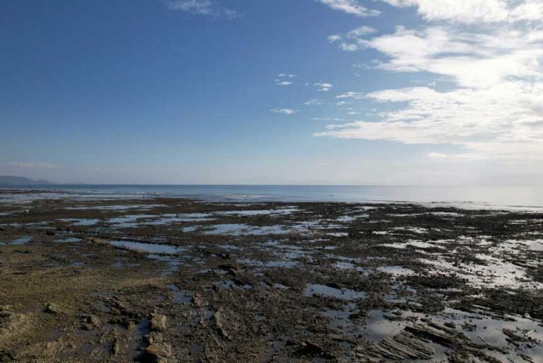 PPD_Preservacion-de-los-arrecifes-para-preservar-la-fuerza-laboral-pescadora-